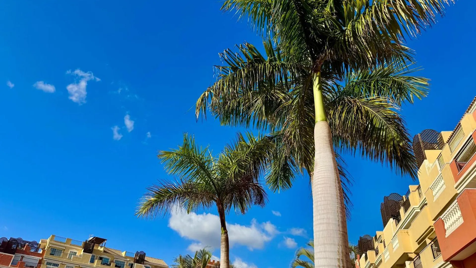 Prime Las Americas Getaway - Apartment With Huge Private Terrace & Pool Access 로스크리스티아노스 0*,